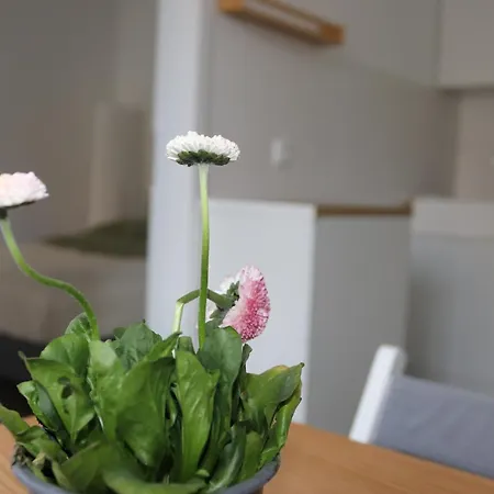 Maruliving H343 Appartement *