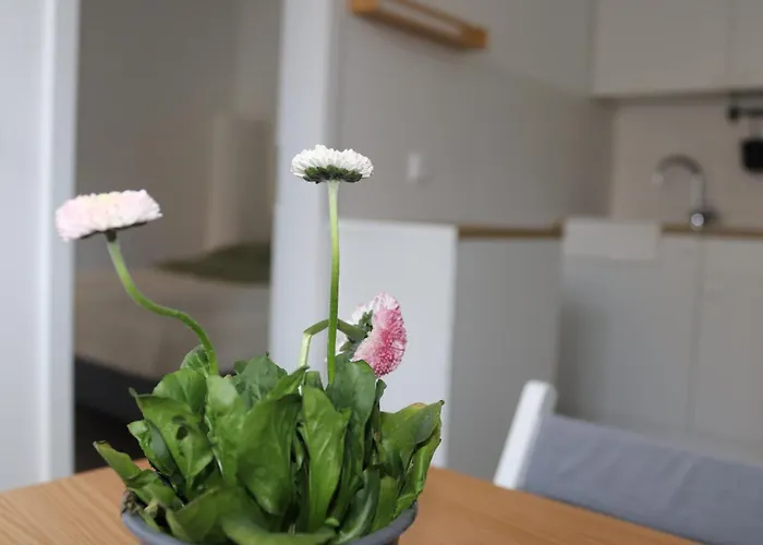 Maruliving H343 Appartement *